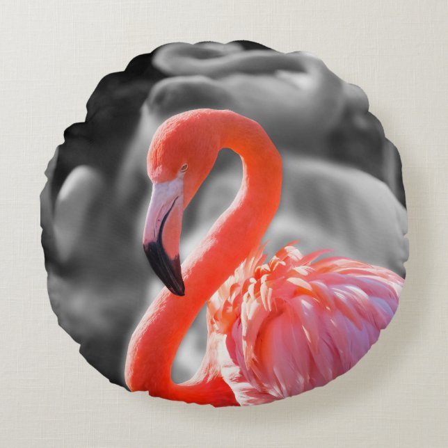 Almofada Redonda Fotografia de Flamingo Bird (Frente)