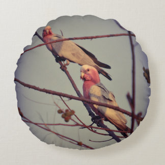 Almofada Redonda Galah Pássaros na árvore 1