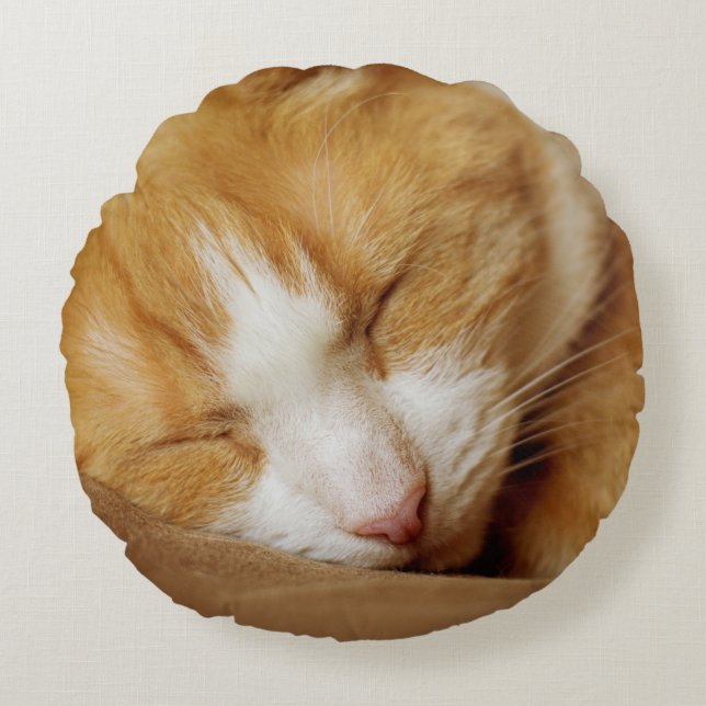 Almofada Redonda Gatinho Dormindo (Frente)