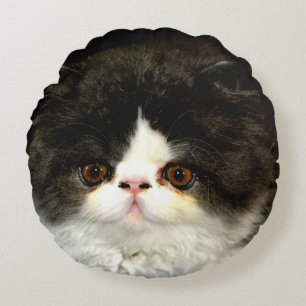 Almofada Redonda Gatinho Preto e Branco