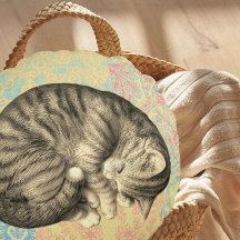 Gato enrolado dormindo em um conforto doce