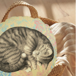 Almofada Redonda Gato enrolado dormindo em um conforto doce