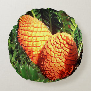 Almofada Redonda Grandes Pods De Sementes Laranja Africanas,