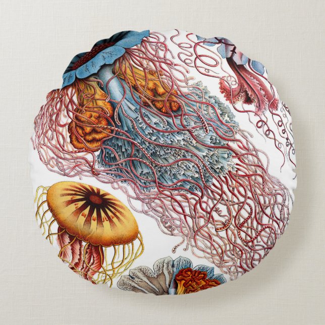 Almofada Redonda Haeckel Jellyfish Cushions (Frente)