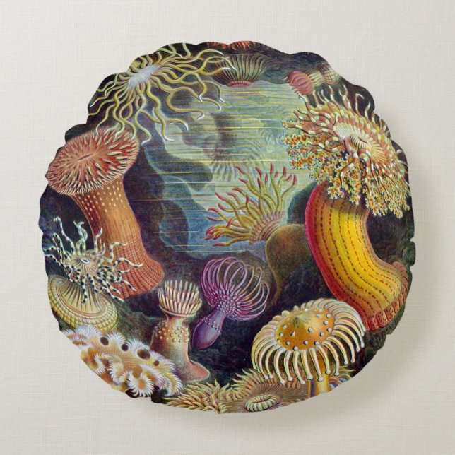 Almofada Redonda Haeckel ~ Sea Anemones Cushiks (Frente)