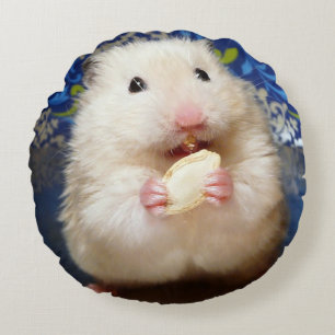 Almofada Redonda Hamster sírio macio Kokolinka que come uma sement