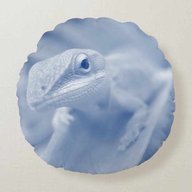 Almofada Redonda Happy Anole (Frente)