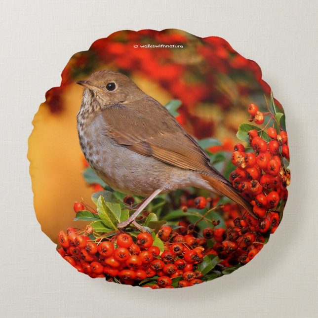 Almofada Redonda Hermit Thrush Songbird no Scarlet Firethorn (Frente)