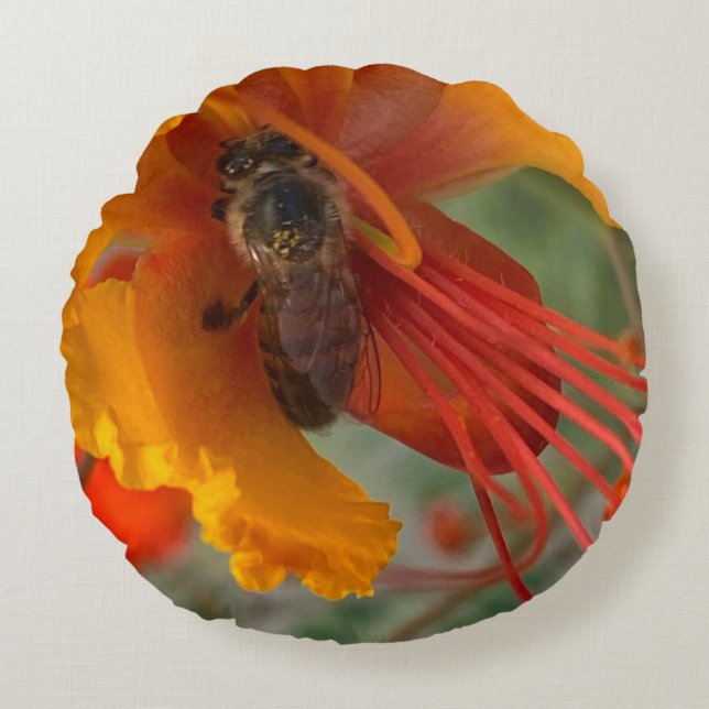 Almofada Redonda Honey Bee 🐝 (Frente)