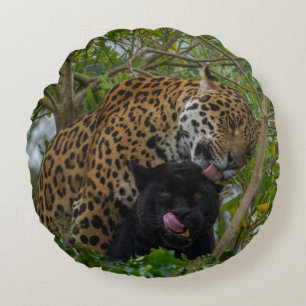 Almofada Redonda Jaguares Apaixonados