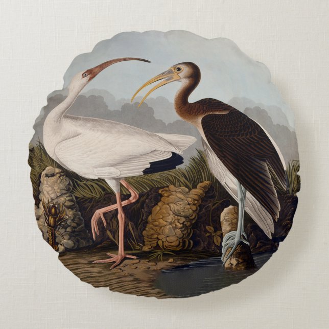 Almofada Redonda John James Audubon White Ibis Bird Print Classic (Frente)