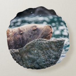 Almofada Redonda Leão-Do-Mar Na Baía De Ressurreição, Alasca