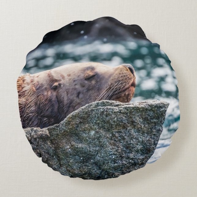 Almofada Redonda Leão-Do-Mar Na Baía De Ressurreição, Alasca (Verso)