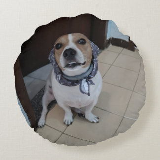 Almofada Redonda Leo, o jack russell doce e amigável