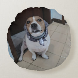 Almofada Redonda Leo the sweet and friendly jack russell