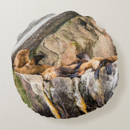 Almofada Redonda Leões Do Mar Deitados Nas Rochas