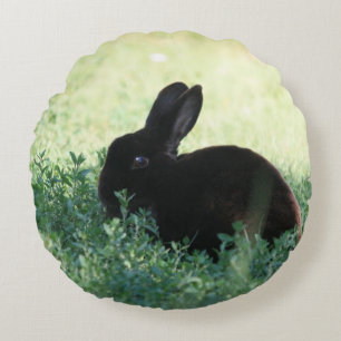 Almofada Redonda Lil Black Bunny