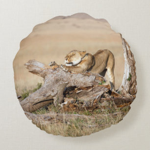 Almofada Redonda Lioness alongando
