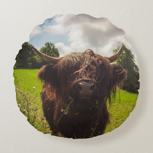 Almofada Redonda Luz verde do campo verde da vaca em lata negra (Frente)