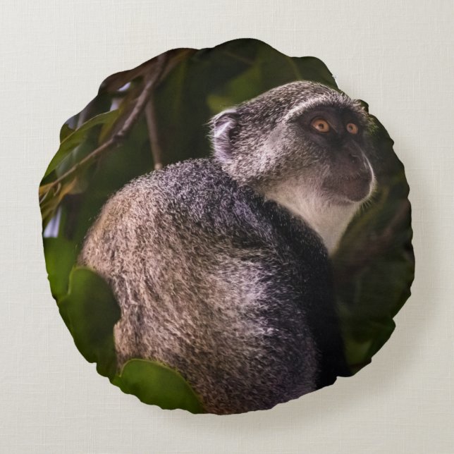 Almofada Redonda Macaco azul, Zanzibar (Verso)
