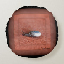 Macro Fotografia de Caracol em Terracotta