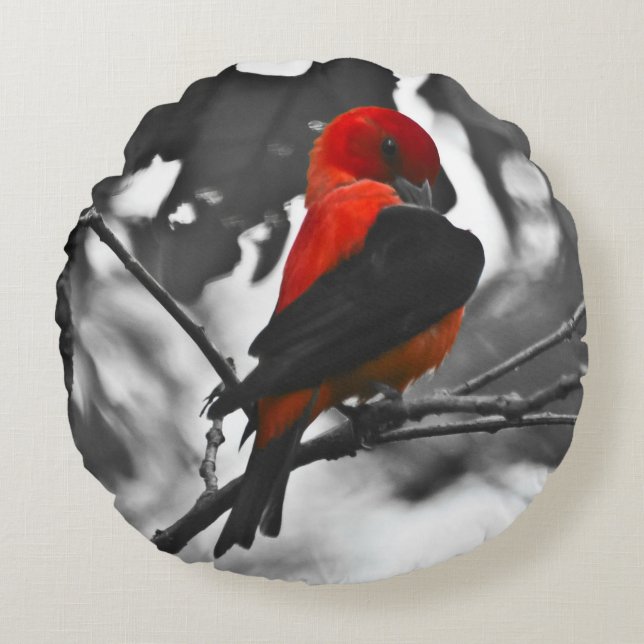 Almofada Redonda Male Scarlet Tanager (Frente)