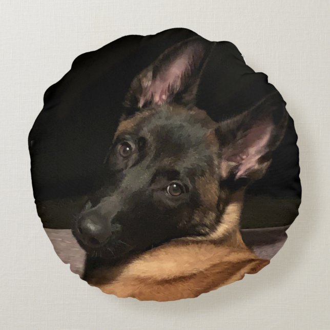 Almofada Redonda Malinois Dog (Verso)