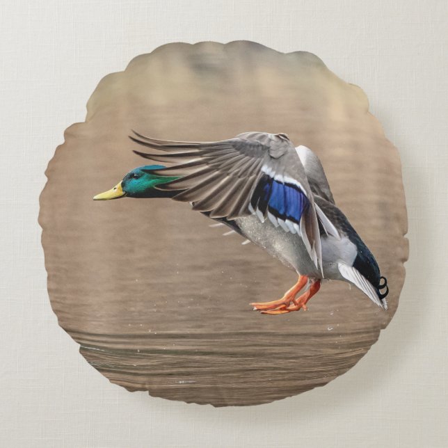 Almofada Redonda Mallard Duck em voo (Frente)