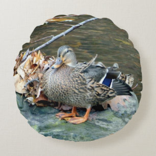 Almofada Redonda Mallard Duck (no Rock), Travesseiro redondo
