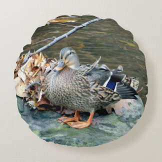 Almofada Redonda Mallard Duck (no Rock), Travesseiro redondo