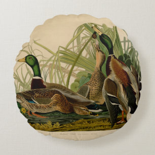 Almofada Redonda Mallard Duck - Pincel de Ave Audubon