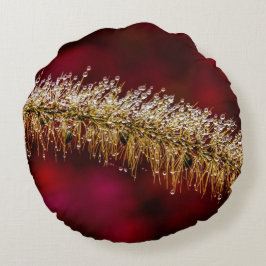 Almofada Redonda Manhã