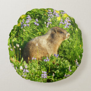 Almofada Redonda Marmot no Monte Rainier Wildflower