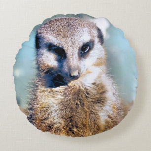 ALMOFADA REDONDA MEERKAT