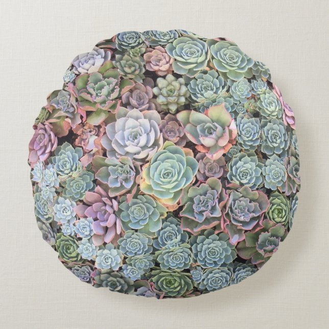 Almofada Redonda Mistura Sempervivum do jardim do Succulent (Frente)