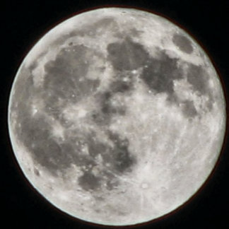 ALMOFADA REDONDA MOMZMOON