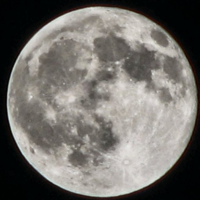 ALMOFADA REDONDA MOMZMOON (Criador carregado)