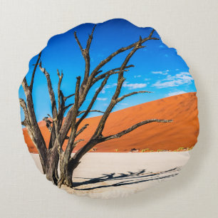 Almofada Redonda Morto em Deadvlei, Namíbia
