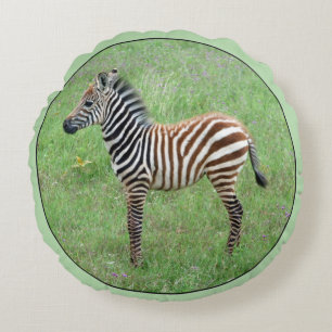 Almofada Redonda Ngorongoro Baby Zebra