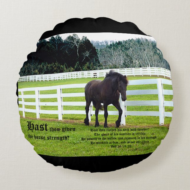 Almofada Redonda Nonesuch at Cedar Point w Job 39 (Frente)