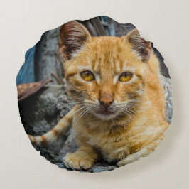 Almofada Redonda Olhos de ouro