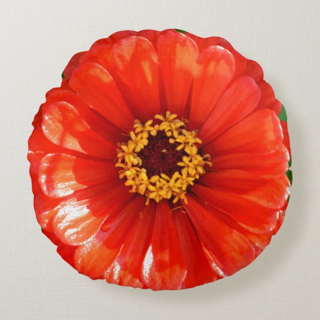 Almofada Redonda Orange Zinnia (Frente)