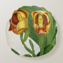 Almofada Redonda Orquídea Anguloa Ruckerii Sanguine Lindenia