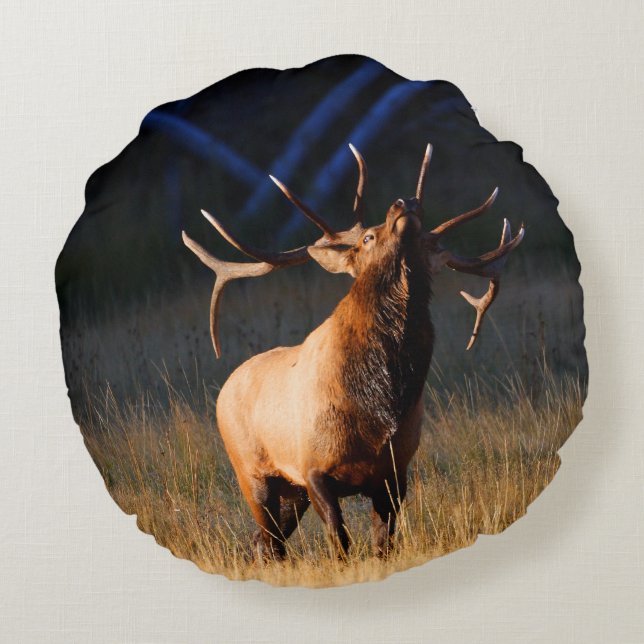 Almofada Redonda Os alces de Bull com dirigem para trás (Verso)