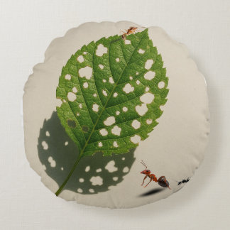 Almofada Redonda Os arquitetos minúsculos da natureza formam sua Ca