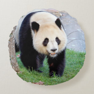 Almofada Redonda Panda gigante da fotografia do travesseiro.