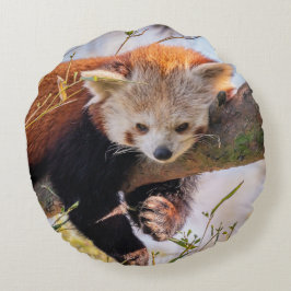 Almofada Redonda Pantaninha vermelha preguiçosa