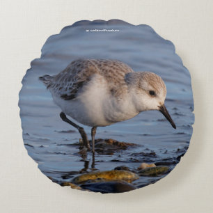Almofada Redonda Pássaro Sanderling Justo na Praia