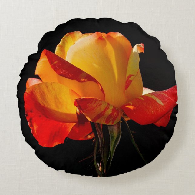 Almofada Redonda Peachy Orange Rosa (Frente)