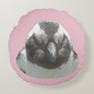Almofada Redonda Pinguim sul-africano encara o giz. Travesseiro red